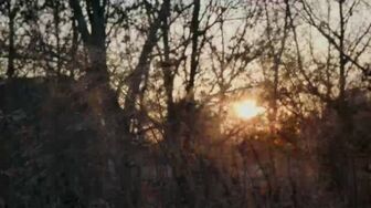 Mama June From Not to Hot S08E06 Check Mate 720p AMZN WEB-DL DDP2 0 H 264-RAWR